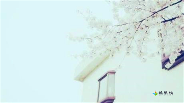 áضϵ֮ǮҼ㣩 ض,ϵ Ͻ 200234niw5o940ws2h2e02