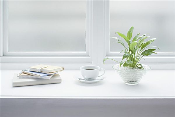   ִʫ 144317emmjg4cpx07mrgod