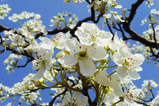 ʮͬʮף ͬ,ʮ Ͻ 122146bc6r48b1b3ruehn8