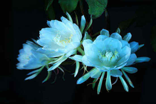 ʮͬʮף ͬ,ʮ Ͻ 122146bdylylbgddhv65ed