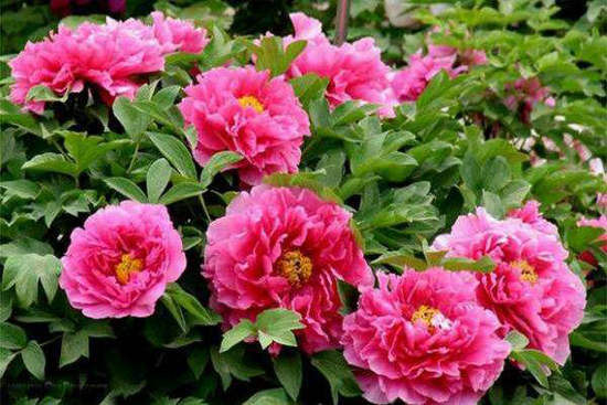 ʮͬʮף ͬ,ʮ Ͻ 122146jz6se2secsn6ls33