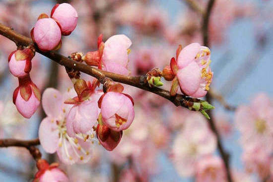 ʮͬʮף ͬ,ʮ Ͻ 122146r6c8zxxyh1c0qllc