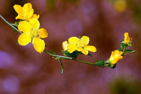 ʮͬʮף ͬ,ʮ Ͻ 122146vlmou778as8ims9a