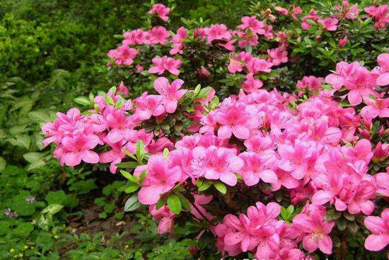 ʮͬʮף ͬ,ʮ Ͻ 122146yx7xzn1k9p9cj019