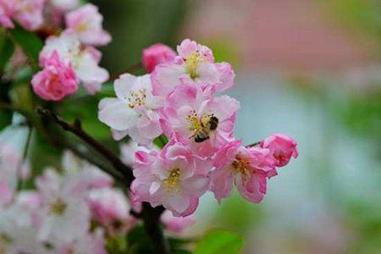 ʮͬʮף ͬ,ʮ Ͻ 122146zm3oro8mmbmhsjrb