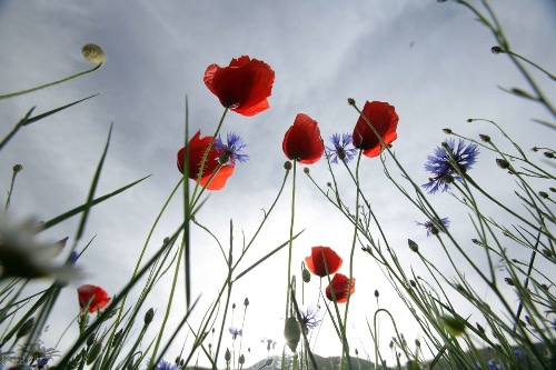 Ѱ֮ʫһף ,,һ ִʫ 