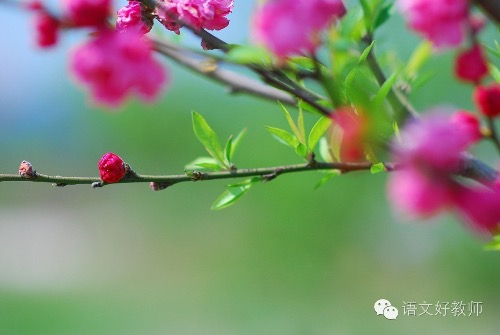 ʻţࣨһ£ ʻ,,ţ ִʫ 