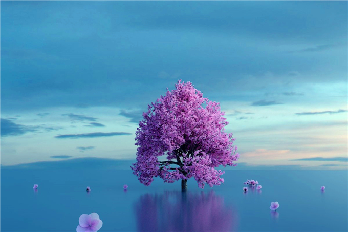 ڼ򵥣ƽƽ ,,,ƽƽ ɢ 154612rzrrbisb6kg666fk