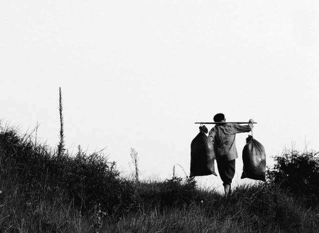 ׵ıⵣ ,ⵣ ִʫ 154905vzpab48kz8dv3bp4