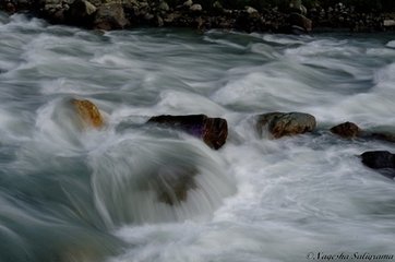 ˮϲŭ  ִʫ 234005rvxy51tnvynn1lt1