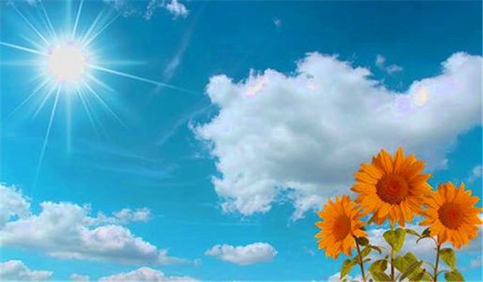 ҶԵƻ Ҷ,Ե,, ɢ 101647rny5840b55585pib