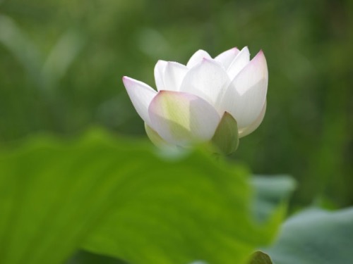 ˭СİԼǻ ,С,Լ,ǻ ִʫ 