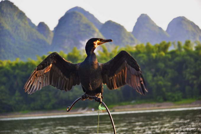 ˣÿնĶ ,,ÿ,Ķ ɢ 145616gzbwln6bbd0eek3w