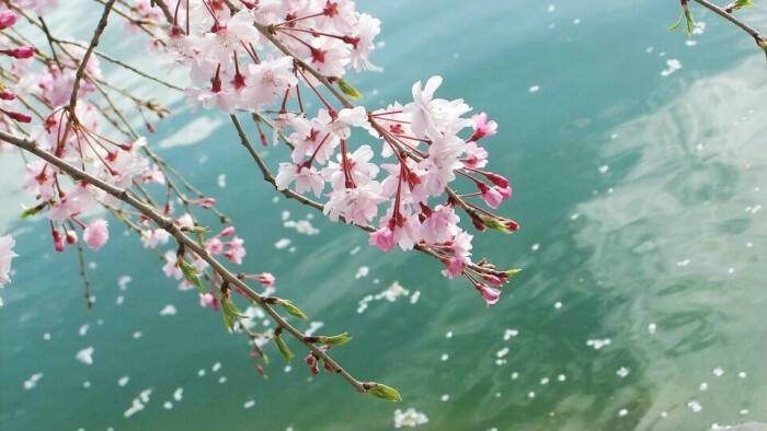   ʶһǰף ,,ǰ Ͻ 023000d99el5v95uph9peh