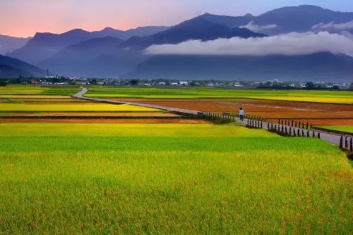 ʲôطҲз ʲô,Ҳ, ִʫ 