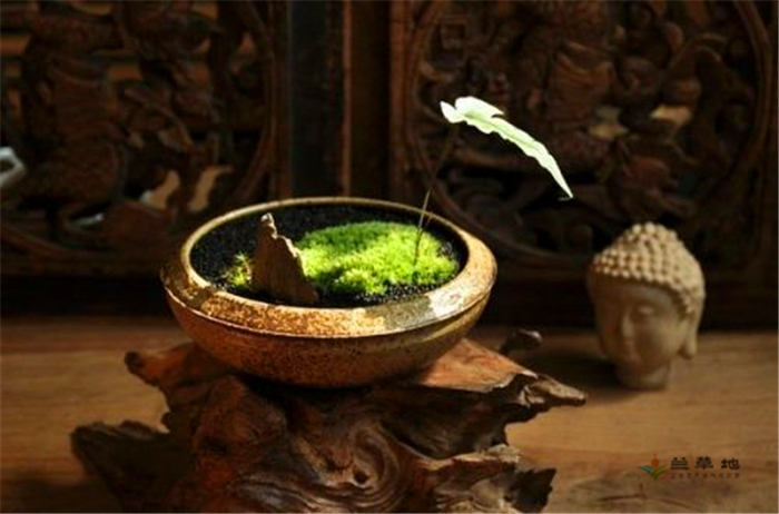 ֪㼴Ȼ̬徻ǻ ֪,Ȼ,̬,徻,ǻ ɢ 222809naa6t1465marhm9r