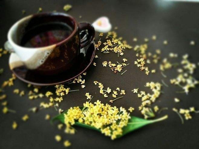 src=http _5b0988e595225.cdn.sohucs.com_images_20171007_26486b398e564062947789fa7.jpg src=http _5b0988e595225.cdn.sohucs.com_images_20171007_26486b398e564062947789fa7.jpg