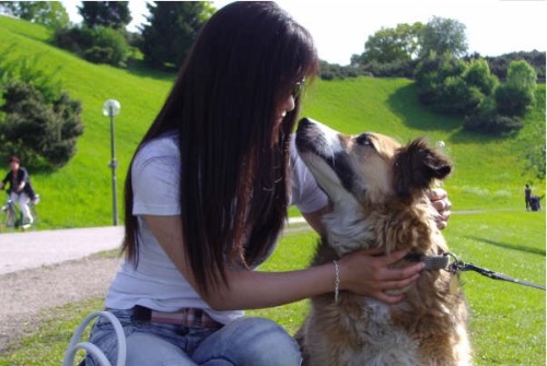 ΪʲôҪ빷Ž Ϊʲô ִʫ 