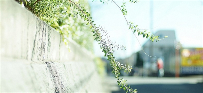 .  Ͻ 100726e5l8u8ngg8u5r0pn