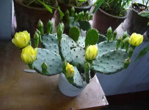 ƿ ,, ɢ 191614r7cjud7u99z6udp7