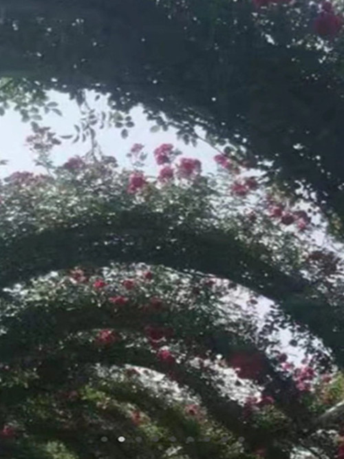 һΪ˭ ,һ Ͻ 011857vbj66zge6znppmvv