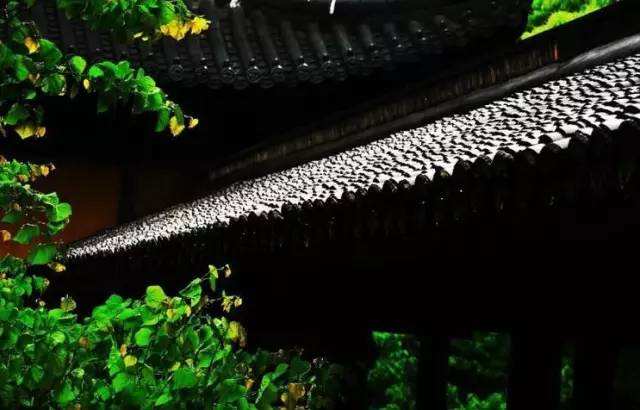 src=http _img.mp.itc.cn_upload_20170614_cbb5fdf616834ad4a7062336c74db076_th.jpg.jpg