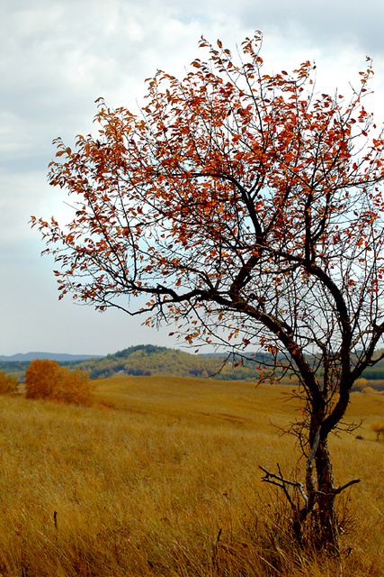 ɫ ɫ ִʫ 140502d77oy7sxkrhbis7g