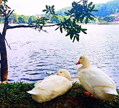 ޣҵϹǰ ,Ϲ,ǰ ִʫ 