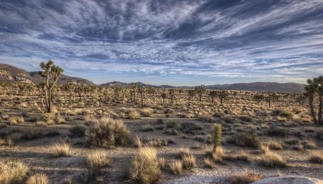 ڸ̸һ ,һ, ִʫ 001954i0v8zc8vc3vb7nz9