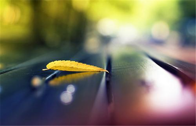 ˼ߵĻƻ ˼,ƻ ɢ 080142asoh9orghxdhhpoh