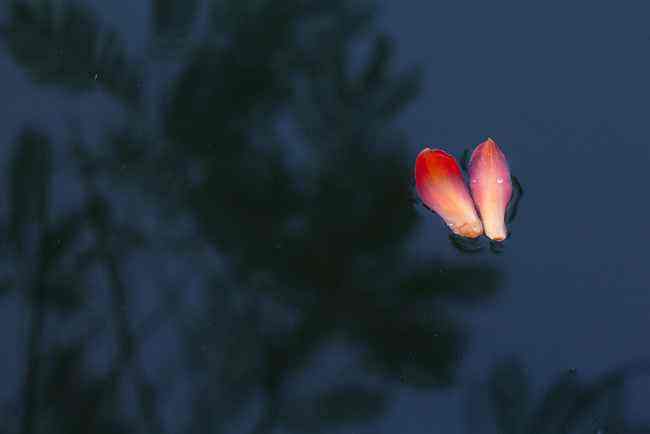   ɢ 101907l733xxk3kc5l8lor