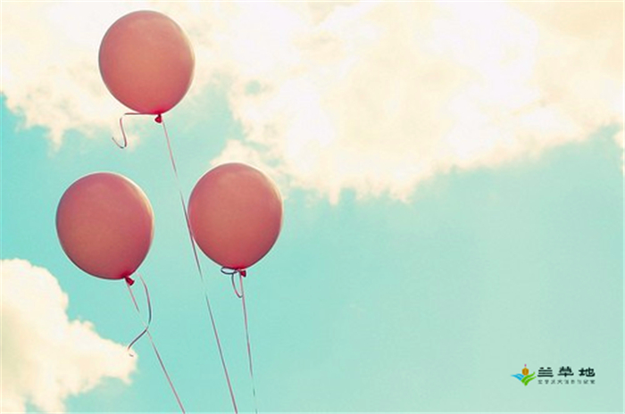 ڷ ڷ ɢ 205156b01h81n151bb23pu