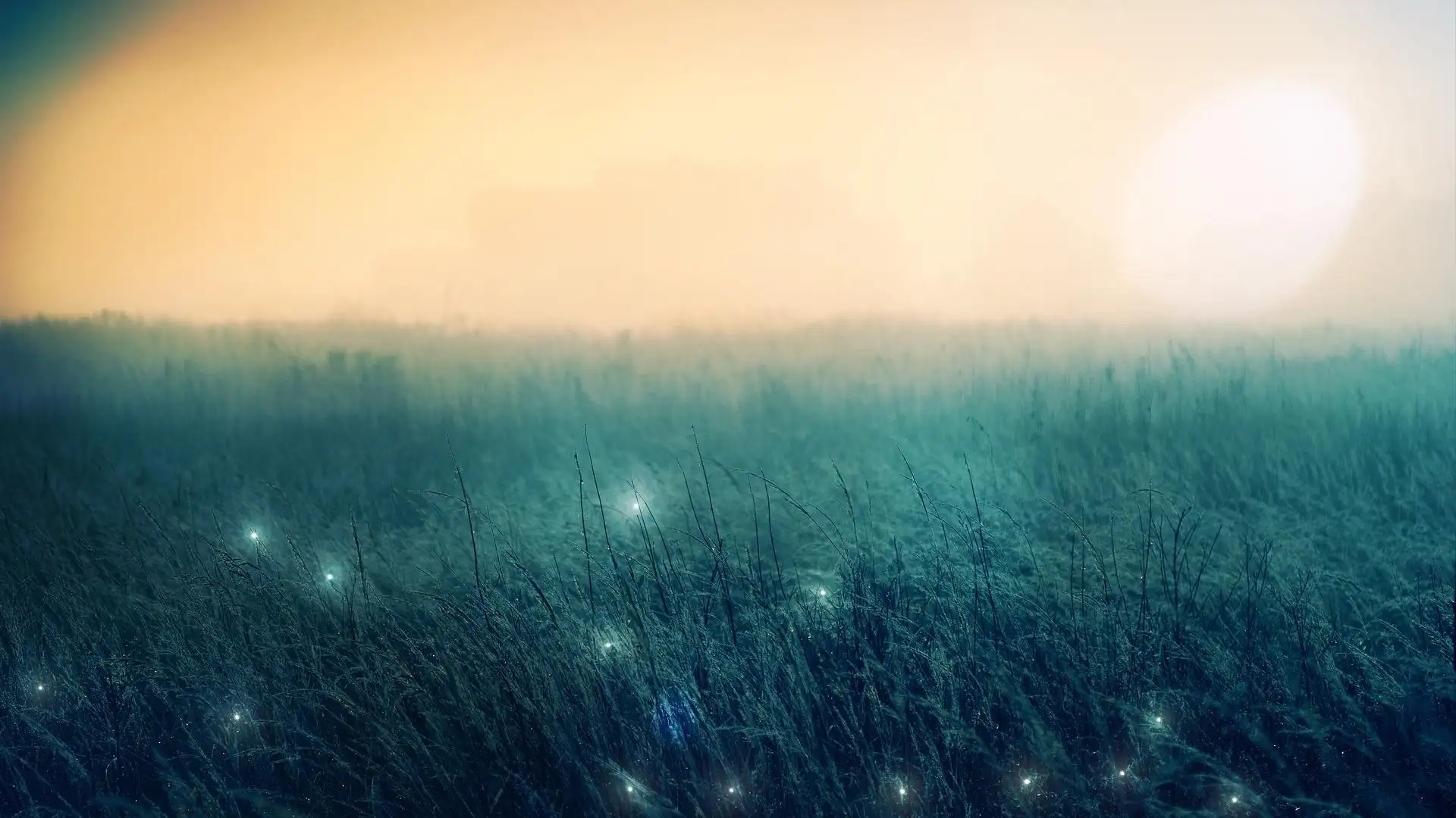 ���� ���� �ִ�ʫ�� 225950b1gyegtlueu4ttup