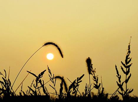   ִʫ 181025kffolblqbo0w447l