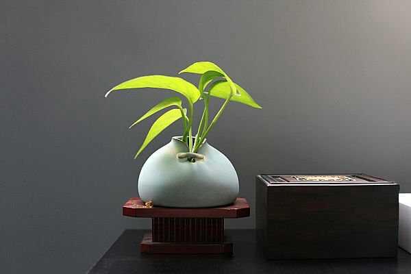 ż ż Ͻ 210058sg7wzez5fuj2gaci