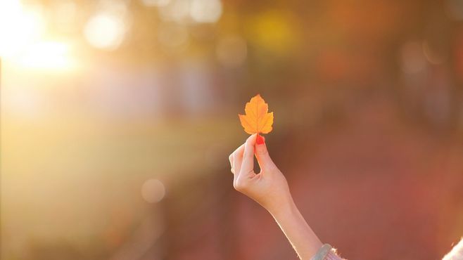 ͷ .  ͷ Ͻ 094349fnspps3zhimik5a0