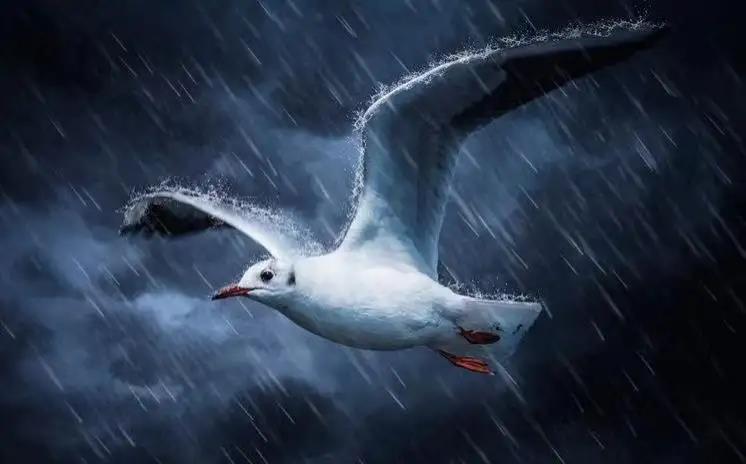 һֻӴɫ һֻ,,,ɫ, ִʫ 230546marht4juxulzrx9s