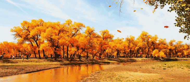 Ҷ֪ Ҷ֪ ִʫ 185844uo0vw5w96cg6g0r5