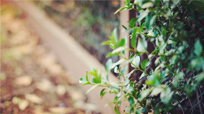 һ˵ĺ һ˵ ִʫ 153248yrwnpngzfisww6lf