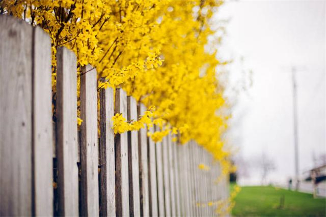 Ϫɳ. Ϫɳ Ͻ 202706gwcwb2d2dd00kzdk