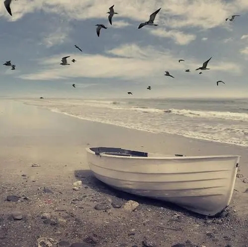  ɫ ,ɫ ִʫ 225811x6kejl9js9a9s5zi