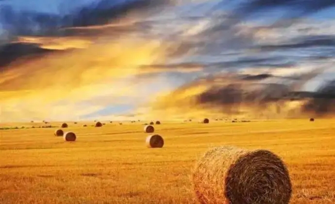 һ һ ִʫ 124344tqj0sle6p4lkqsl6