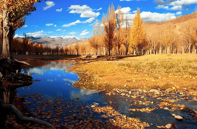   ִʫ 205016d5c3f8xq8c3w5cif