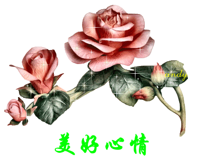 ֪  ִʫ 231002d9urgdnjc40r2vd9