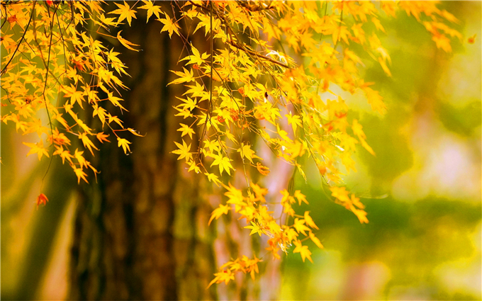 Ҷһˮī Ҷ,ˮī ִʫ 092209rhcjzlfch7rrdera