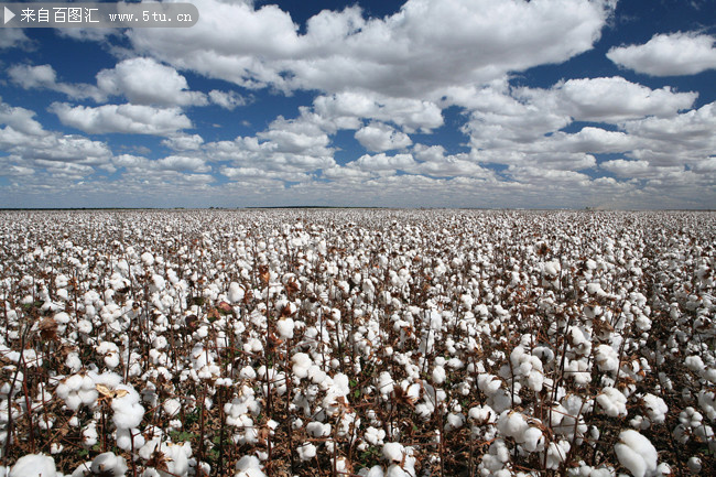 ĿҰ ,,Ұ ִʫ 210916hvkgma9qgm80qgtu