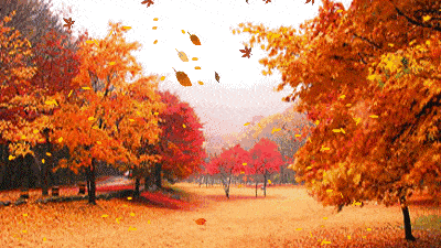 ɽҶ Ҷ ִʫ 224836q4hdr8hvr8h1qed1