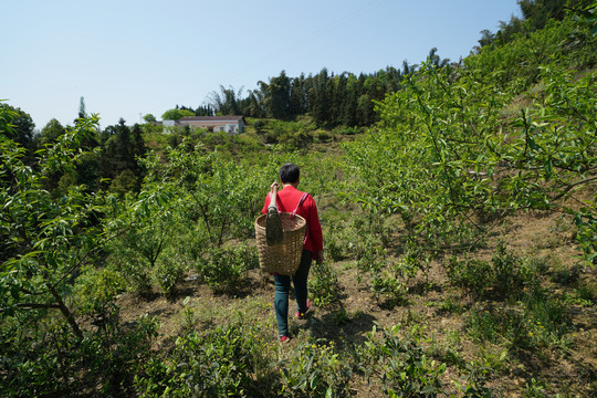 ɶиɩ ,,ɩ ɢ 095556gqi6awzona4kquih