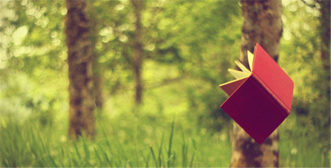 ֲ꣬ࡪ̷ֻ꣬ ,,ֻ,,̷ ɢ 174536b35pw4k5hxma6qua