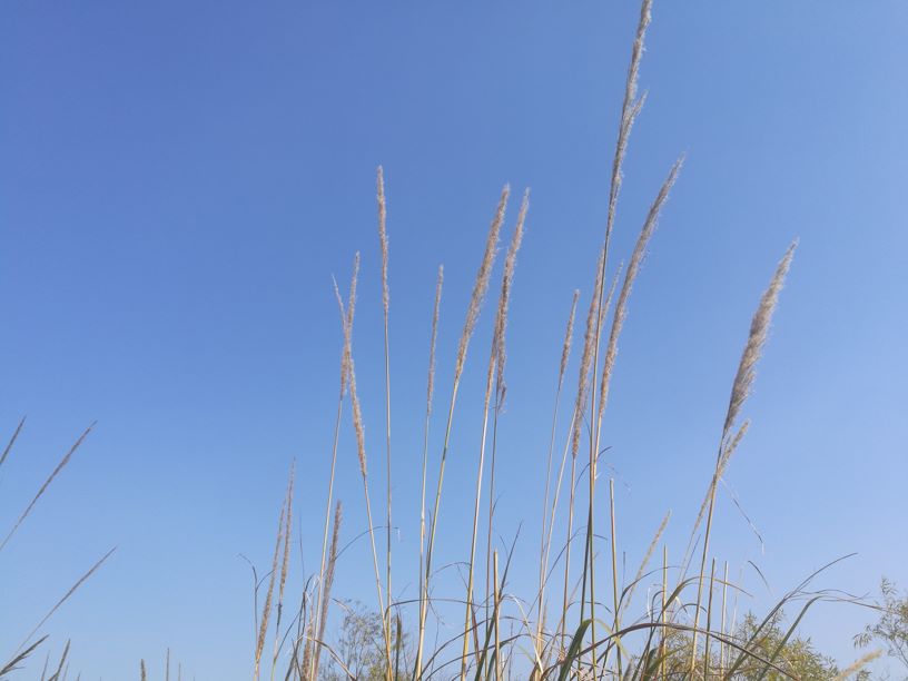 ˿տһ ,һ ִʫ 125330dnjb9jie0neuiboe